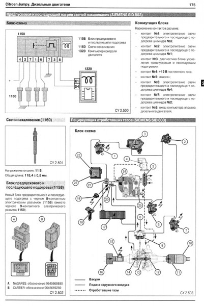 Peugeot Expert/Citroen Jumpy/Fiat Scudo ��� c 2007 ���������� �1,6/2,0 (��)