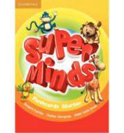 Super Minds Starter Flashcards (pack of 78)