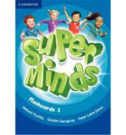 Super Minds Level 1 Flashcards (Pack of 103)
